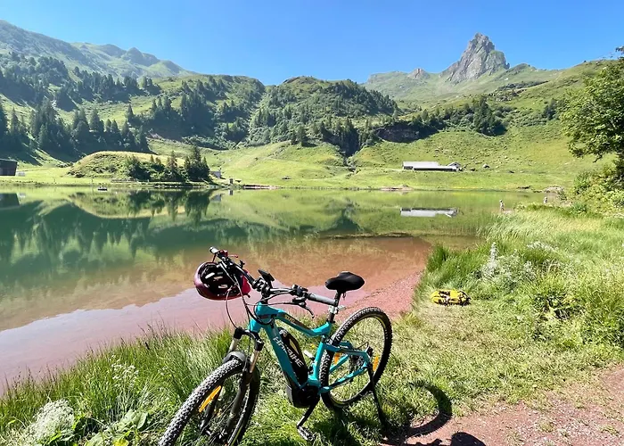 Haus Heimetli - Charmingstay Dom wakacyjny Flumserberg